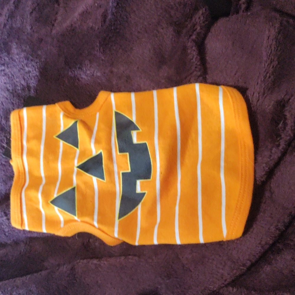 Dog costume